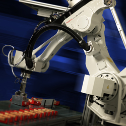 �C���˰��\���ɑ���